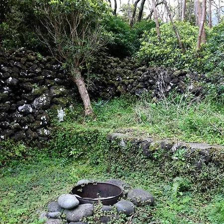 Casas Goulart Апартаменты *